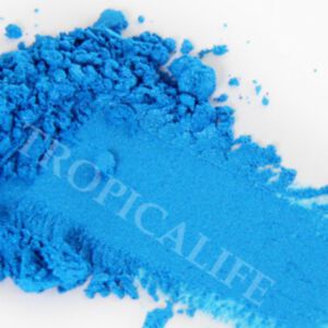 MICA SHIMMER POWDER - CELLINI BLUE 