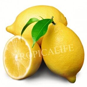 LEMON PEEL EXTRACT (สารสกัดผิวมะนาว)
