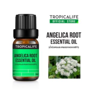 ANGELICA ROOT ESSENTIAL OIL