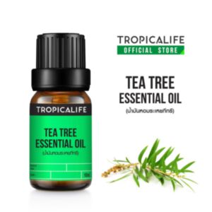 TEA TREE ESSENTIAL OIL (น้ำมันหอมระเหยทีทรี)