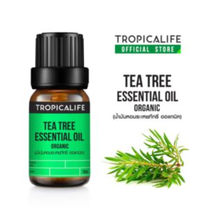 TEA TREE ESSENTIAL OIL - ORGANIC (น้ำมันหอมระเหยทีทรี ออแกนิค)