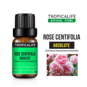 ROSE CENTIFOLIA ABSOLUTE (น้ำมันหอมระเหยดอกกุหลาบเซนติฟอเลีย)