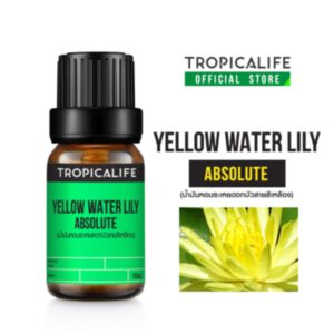 YELLOW WATER LILY ABSOLUTE (แอปโซลูทดอกบัวสายสีเหลือง)