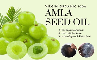 Amla seed oil (น้ำมันเมล็ดมะขามป้อม) ตัวช่วยลดผมหงอกก่อนวัยและผมหลุดร่วง